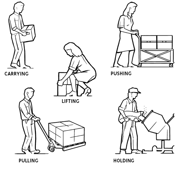 Top Tips For Manual Handling Seguro Management